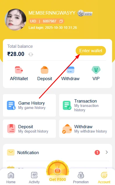 Click on enter wallet